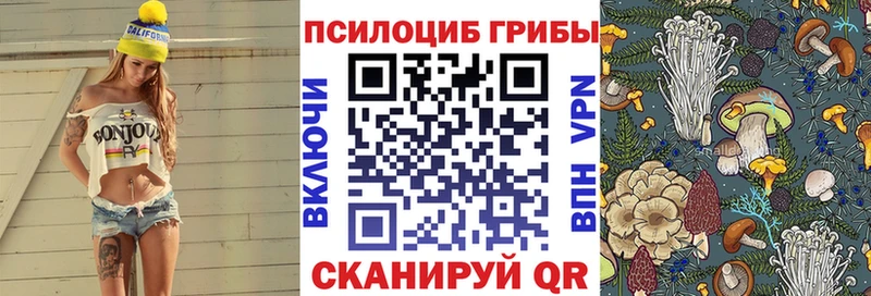 Купить  Моршанск  Галлюциногенные грибы MAGIC MUSHROOMS 